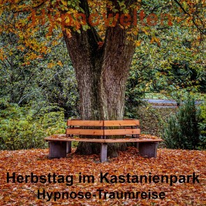 Herbsttag im Kastanienpark