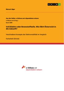 Voll-Elektro oder Brennstoffzelle. Wie fährt Österreich in die Zukunft?