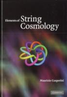 Elements of String Cosmology