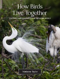 How Birds Live Together