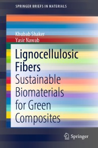 Lignocellulosic Fibers