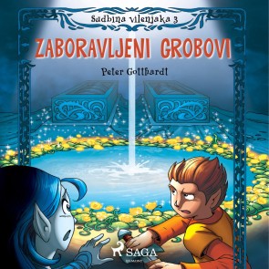 Sudbina vilenjaka 3: Zaboravljeni grobovi