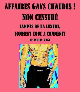 Affaires gays chaudes ! Non censuré