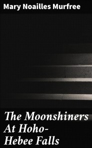 The Moonshiners At Hoho-Hebee Falls