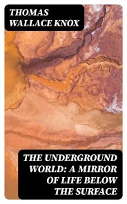 The Underground World: A mirror of life below the surface