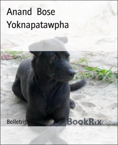 Yoknapatawpha