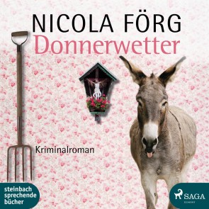 Donnerwetter - Ein Allgäu-Krimi