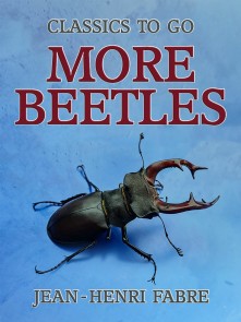 More Beetles