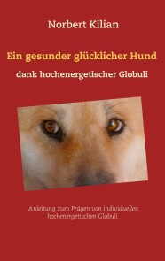 Ein gesunder glücklicher Hund dank hochenergetischer Globuli