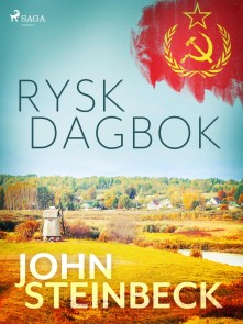 Rysk dagbok