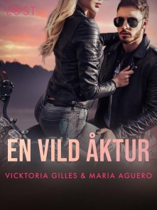 En vild åktur - erotisk romance