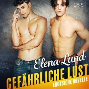 Gefährliche Lust - Erotische Novelle