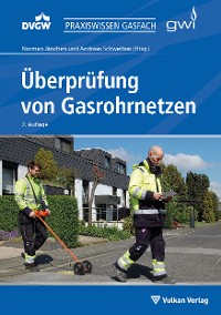 Überprüfung von Gasrohrnetzen