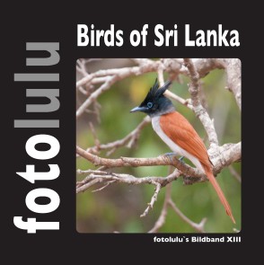 Birds of Sri Lanka