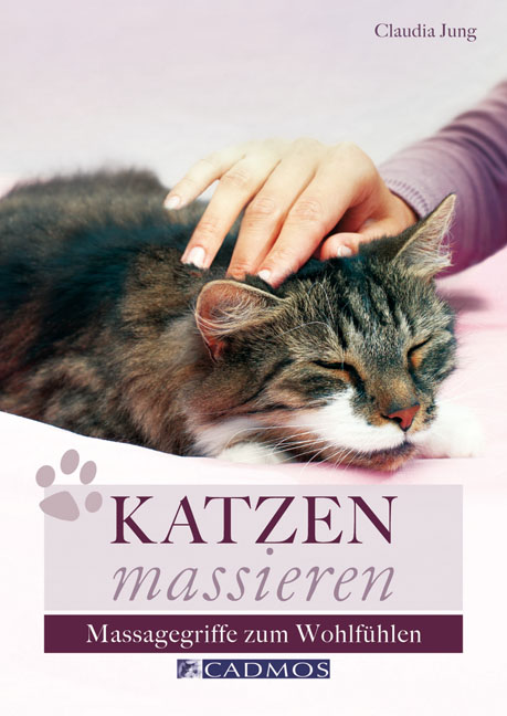 Katzen massieren