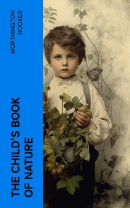 The Child's Book of Nature