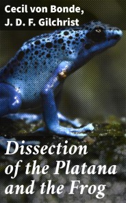 Dissection of the Platana and the Frog