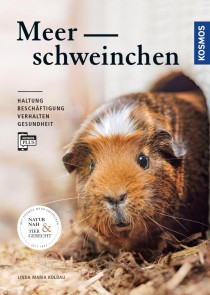 Meerschweinchen