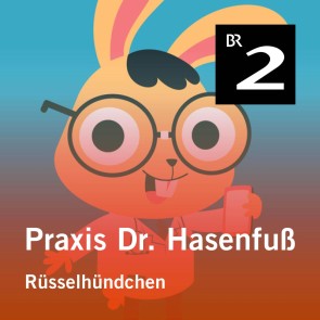 Praxis Dr. Hasenfuß: Rüsselhündchen