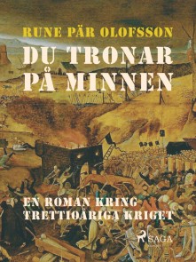 Du tronar på minnen : en roman kring Trettioåriga kriget