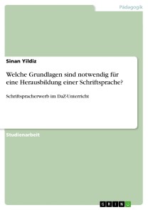 Welche Grundlagen sind notwendig für eine Herausbildung einer Schriftsprache?