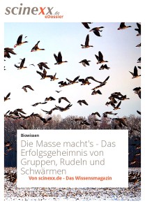 Die Masse macht's