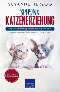 Sphynx Katzenerziehung - Ratgeber zur Erziehung einer Katze der Sphynx Rasse