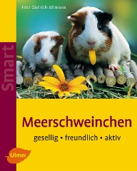 Meerschweinchen