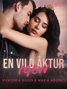 En vild åktur igen - erotisk romance