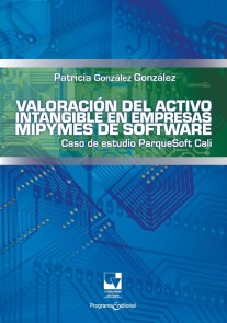 Valoración del activo intangible en empresas mipymes de software