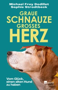 Graue Schnauze, großes Herz