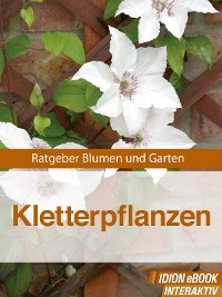 Kletterpflanzen