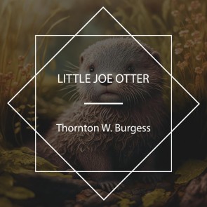 Little Joe Otter