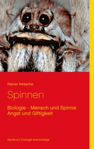 Spinnen