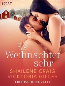 Es Weihnachtet sehr - Erotische Novelle