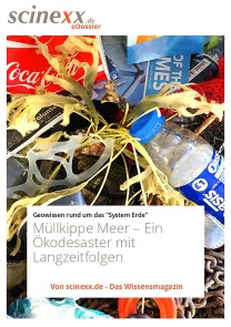 Müllkippe Meer