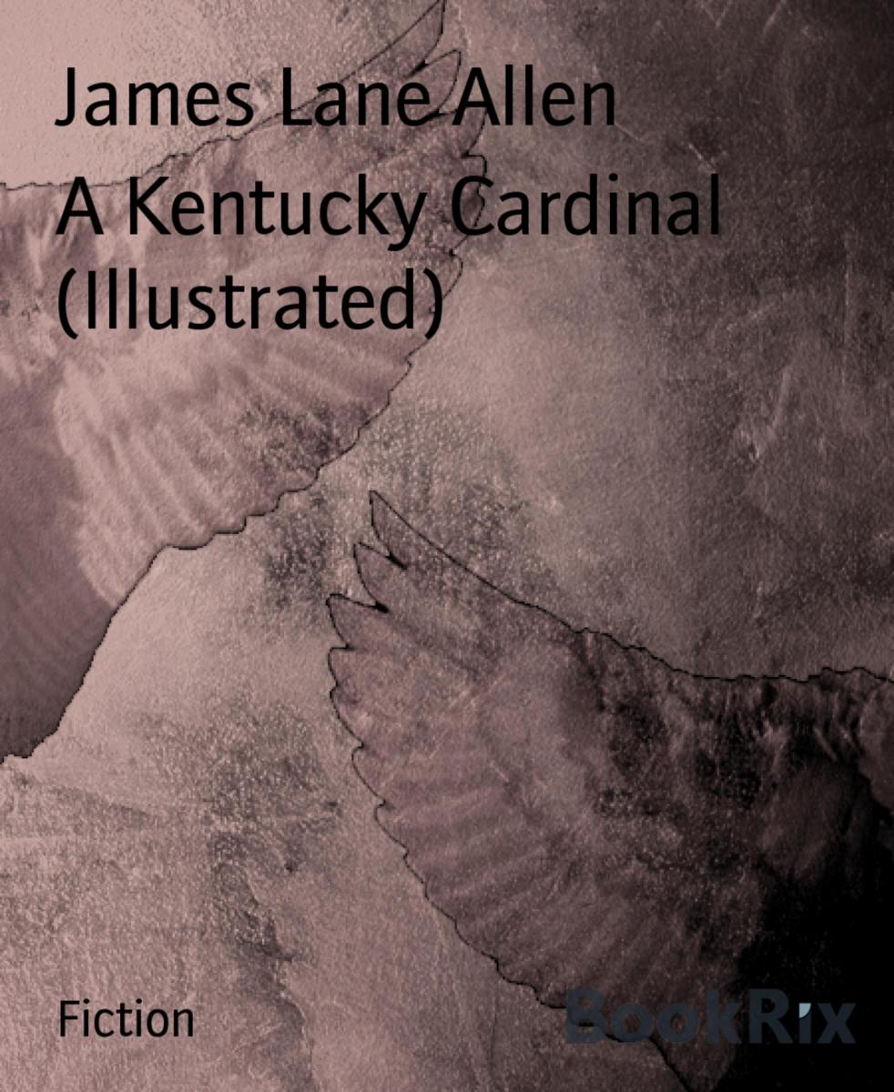 A Kentucky Cardinal (Illustrated)