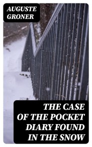 The Case of the Pocket Diary Found in the Snow