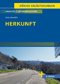 Herkunft von Saša Stanišić - Textanalyse und Interpretation