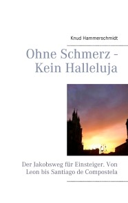 Ohne Schmerz - Kein Halleluja