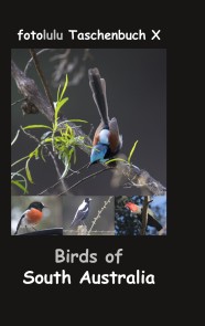 Birds of South Australia