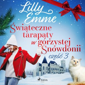 Swiateczne tarapaty w górzystej Snowdonii - czesc 3