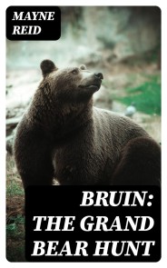 Bruin: The Grand Bear Hunt