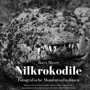 Nilkrokodile