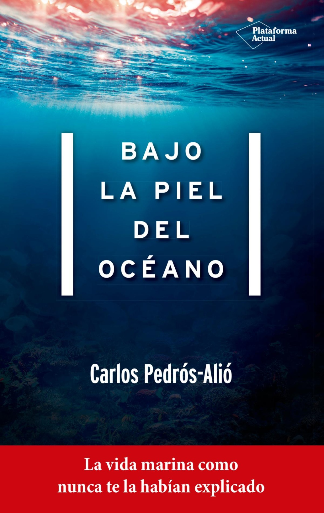 Bajo la piel del océano