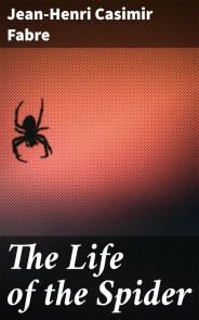 The Life of the Spider