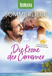 Romana Sommerliebe Band 6