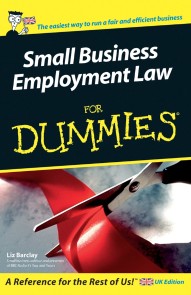 Small Business Employment Law For Dummies