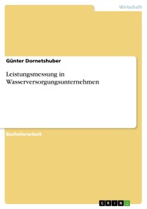 Leistungsmessung in Wasserversorgungsunternehmen