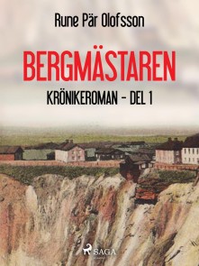 Bergmästaren : krönikeroman, del 1